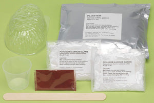 Crystal Geode Experiment Kit