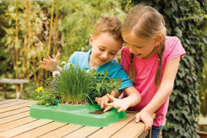 Kids First Botany: Greenhouse Kit