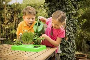 Kids First Botany: Greenhouse Kit