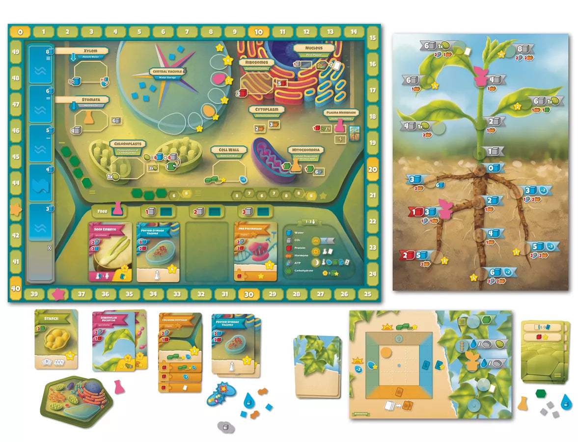 Cellulose: A Plant Cell Biology Game