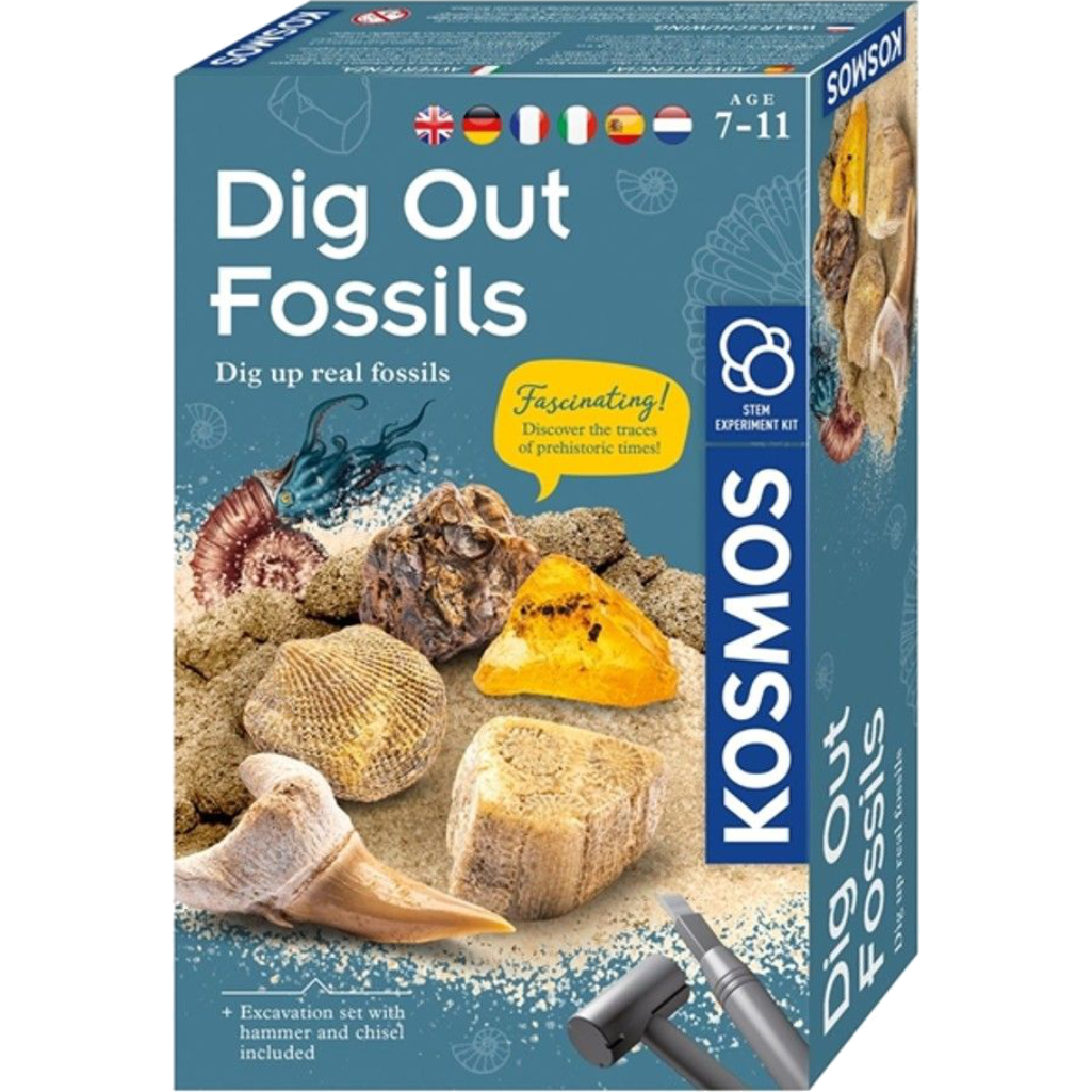 Dig Out Fossils Experiment Kit